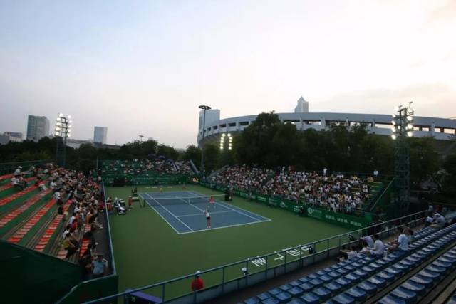 这支由新老 这支由新老